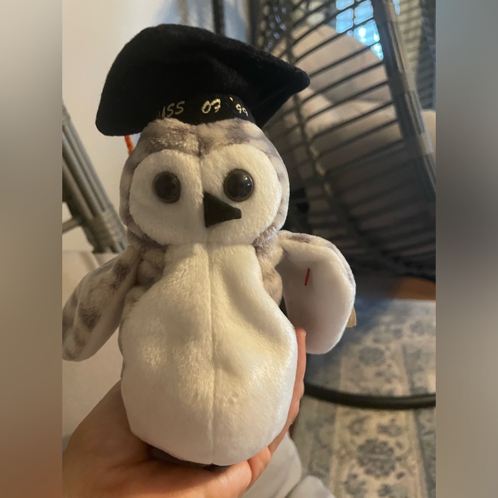 Wiser the Owl, rare owl Ty.